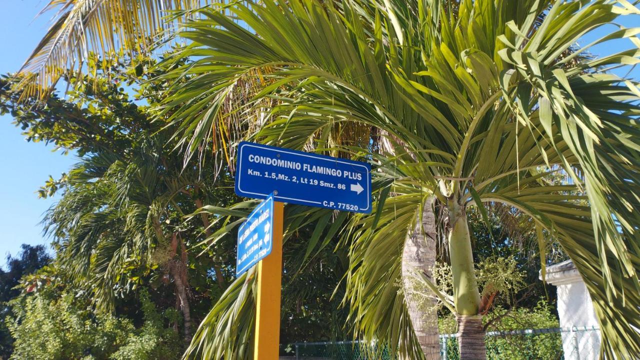 Cancun Ocean View Flamingo Plus מראה חיצוני תמונה