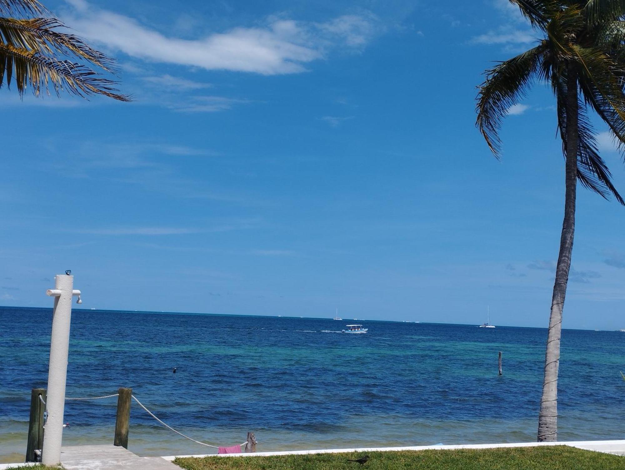 Cancun Ocean View Flamingo Plus מראה חיצוני תמונה